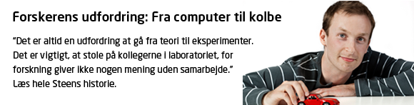 Steens historie